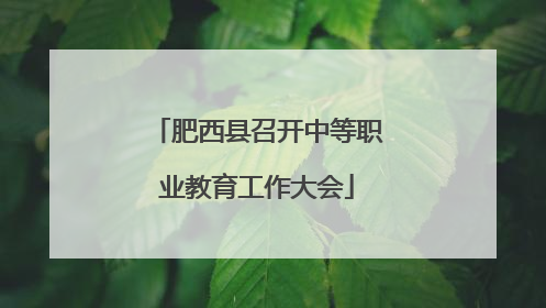 肥西县召开中等职业教育工作大会